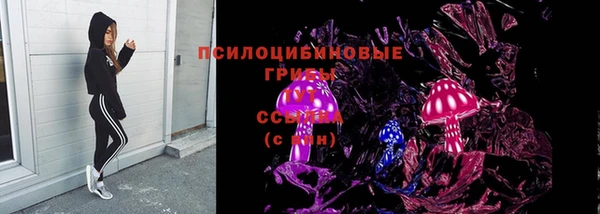 прущая мука Бородино