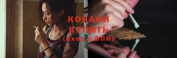 apvp Богородицк