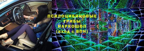 прущая мука Бородино