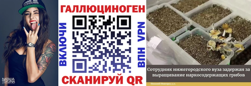где продают наркотики  Можга  Псилоцибиновые грибы прущие грибы 